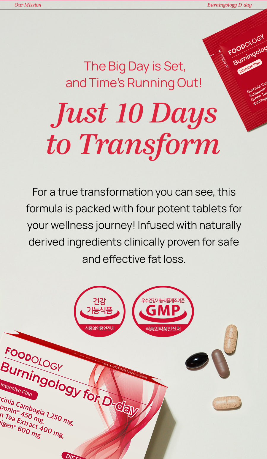 Burningology D-Day – Foodology