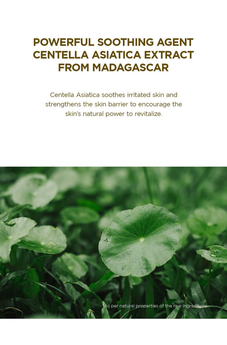 Madagascar Centella Ampoule - Skin 1004