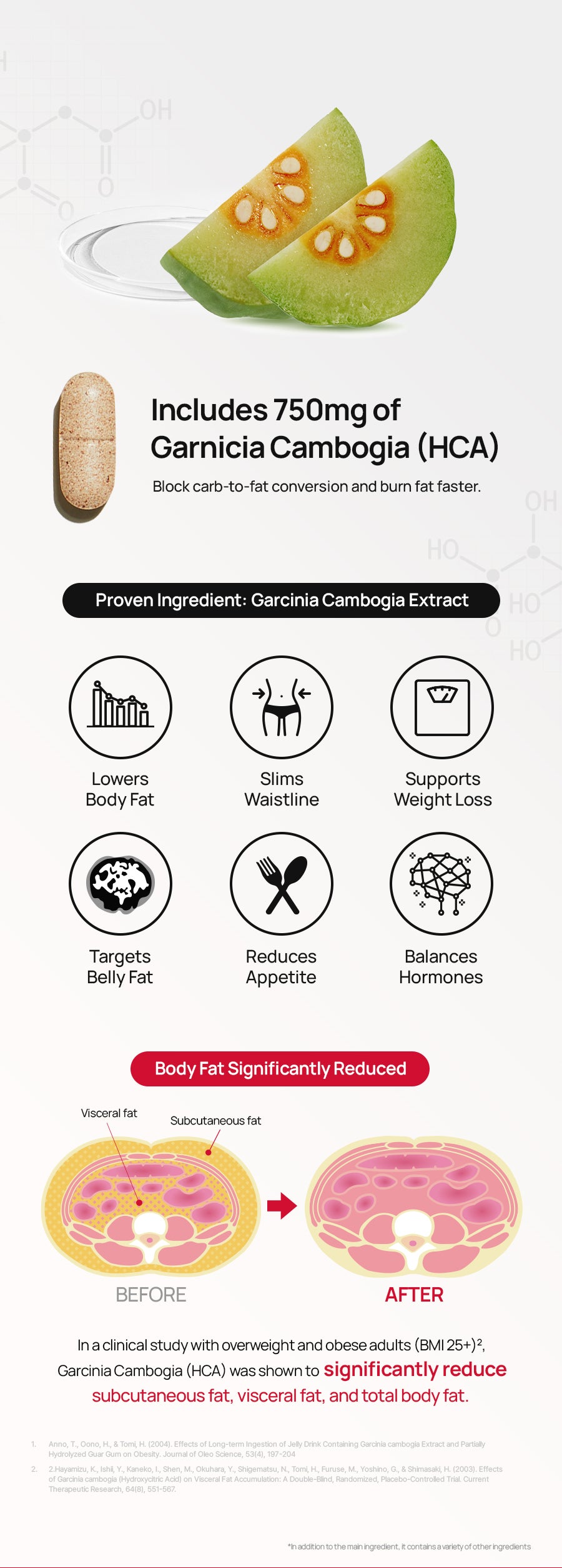Burningology D-Day – Foodology
