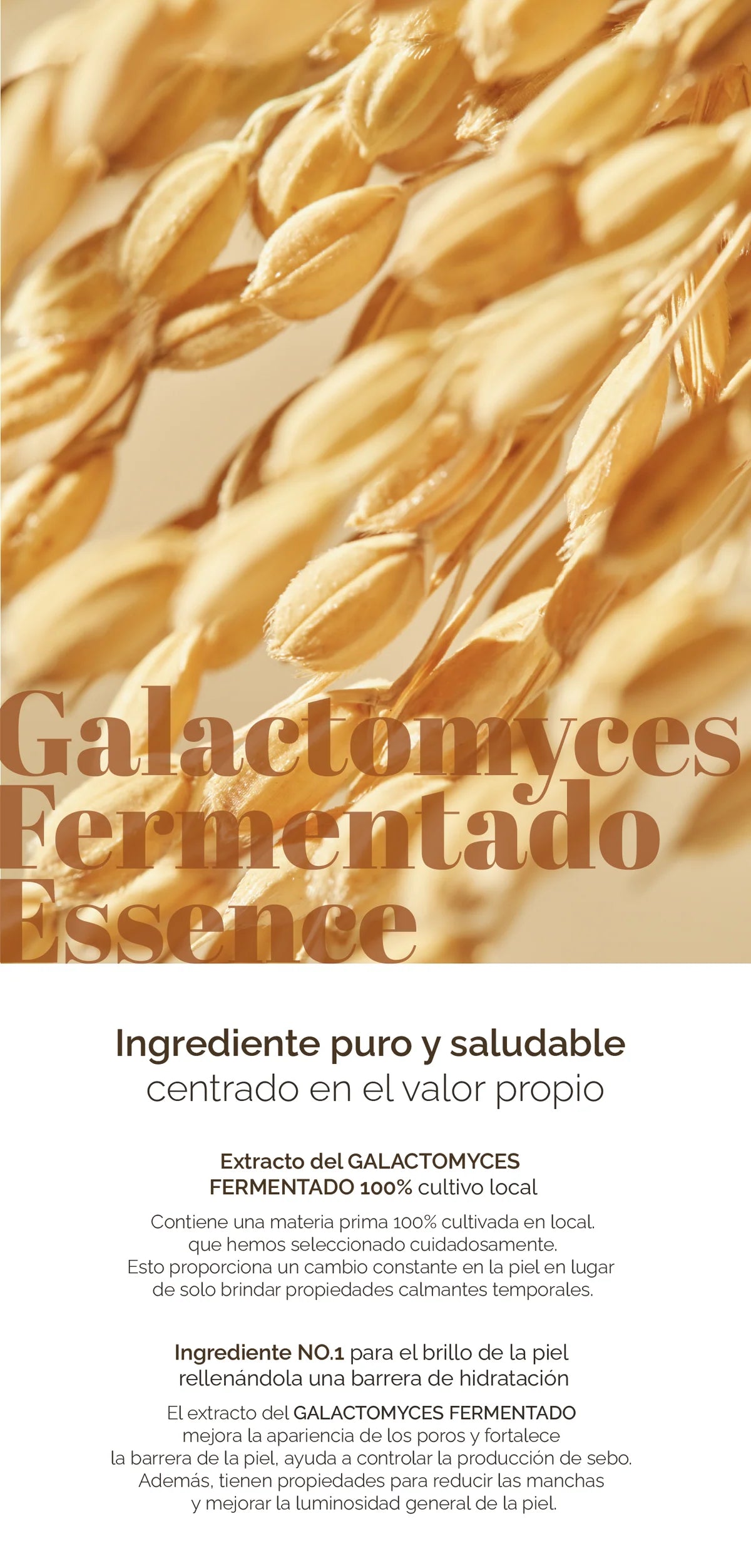 Galactomyces Ferment Essence - Mixsoon