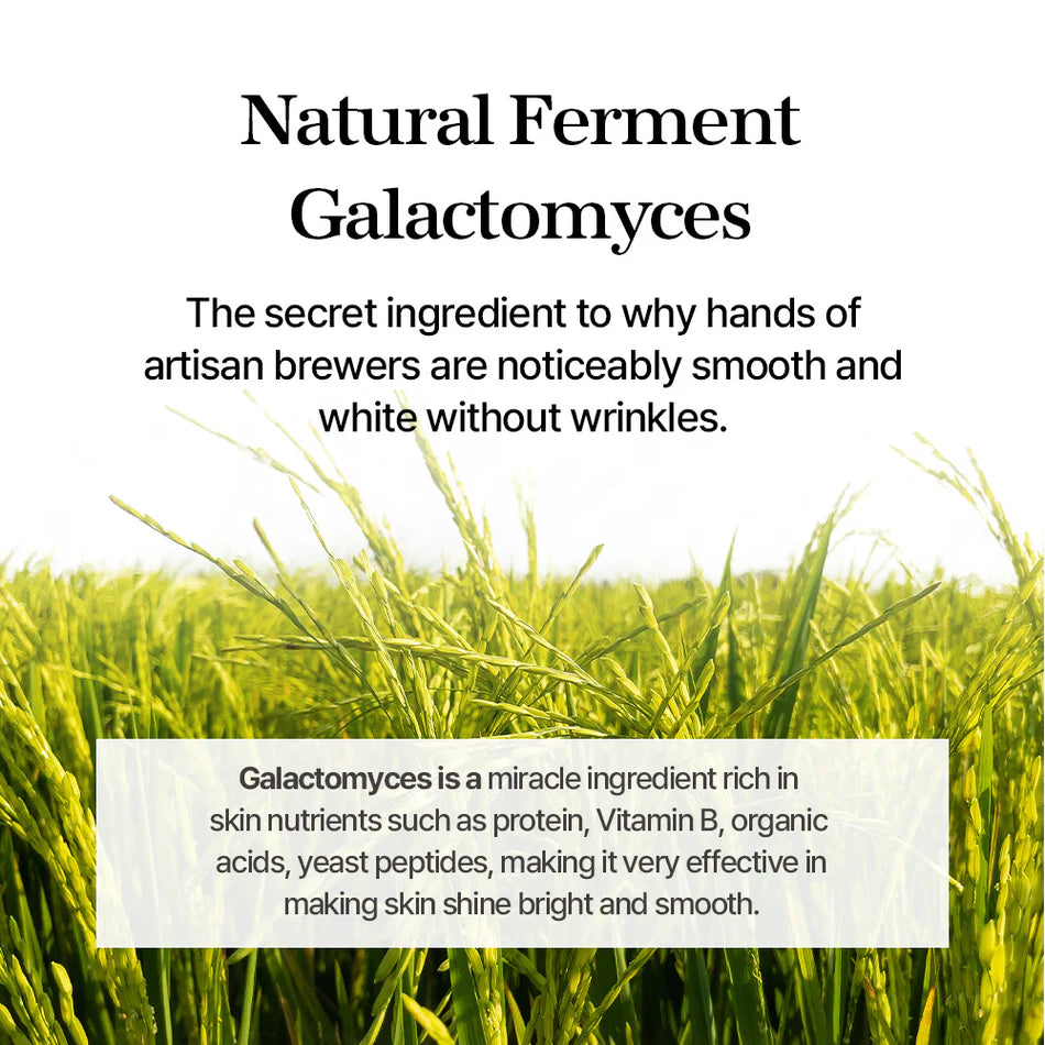 Galactomyces Ferment Essence - Mixsoon