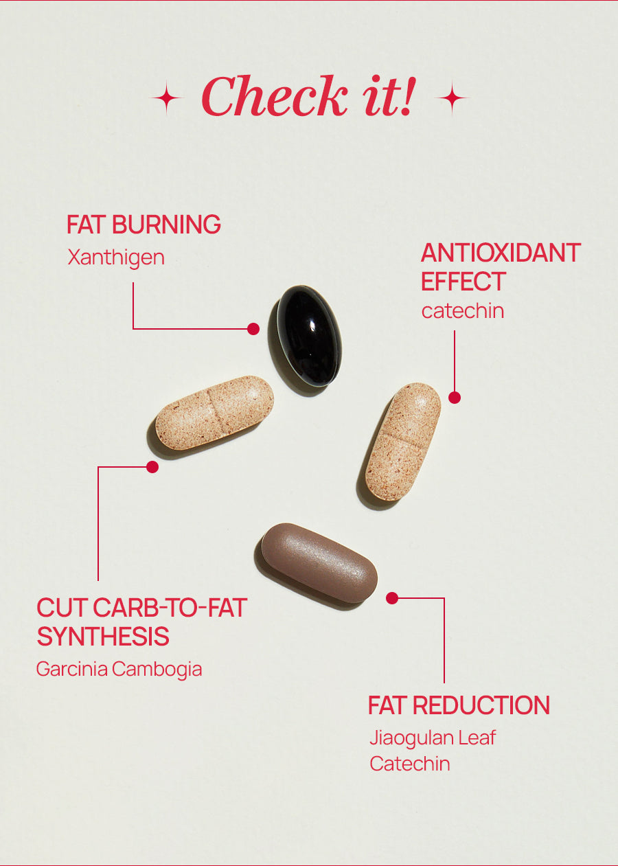 Burningology D-Day – Foodology